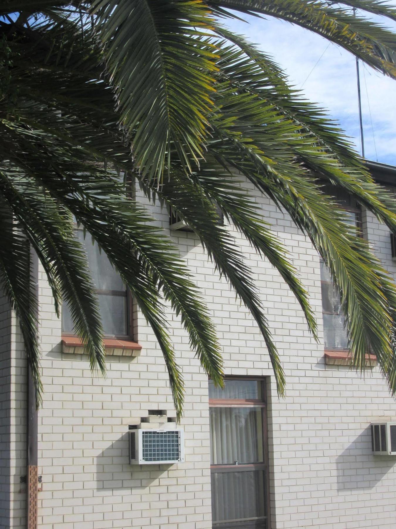 El Toro Motel Warwick Farm Extérieur photo